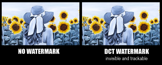 Invisible Watermark