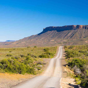 Karoo