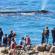 Overberg